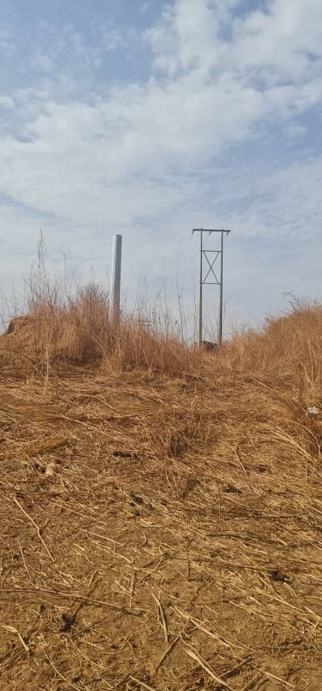 Electricity poles lined up and ready for installation