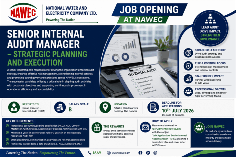Job Opening — Senior Internal Audit Manager (Strategic Planning and Execution)